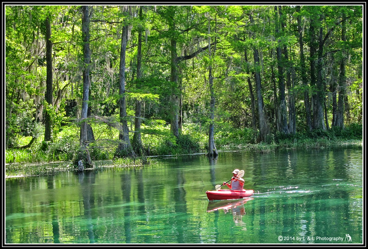 Ocala, Central Florida & Beyond Three kayaking outings on the Rainbow