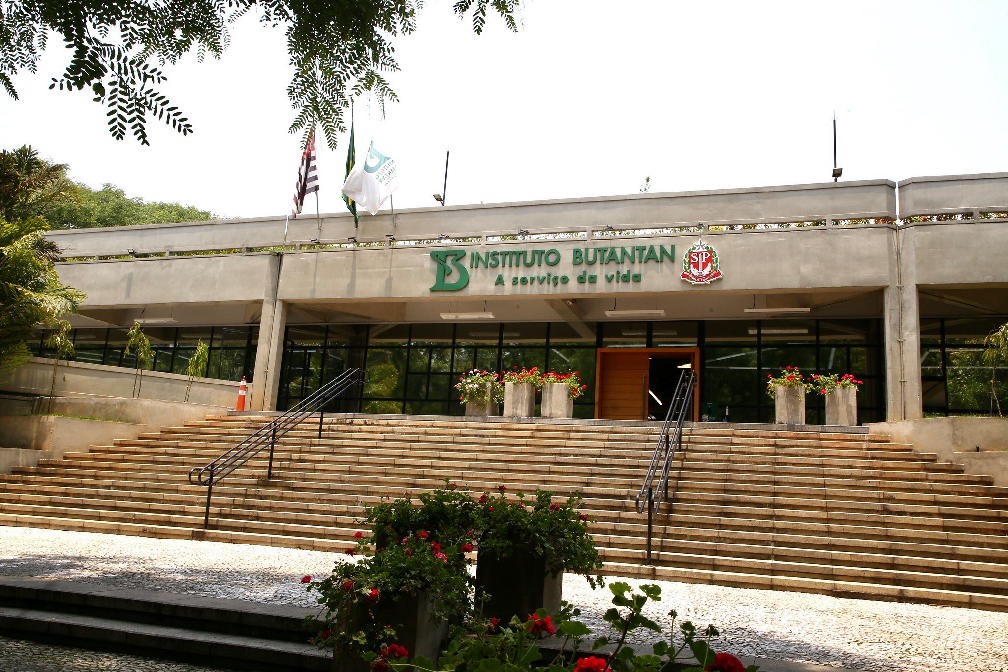 Portal de Juazeiro Do Brasil hoje o Instituto Butantan completa 120 anos de vida e credibilidade