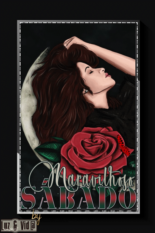 NOVO146%2B%2528MB%2529maryluz.gif