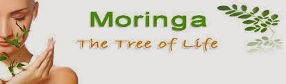 المورينجا شجرة الحياة