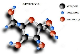 11%2B%25D1%2583%25D0%25B3%25D0%25BB В результате чего образуются моносахариды