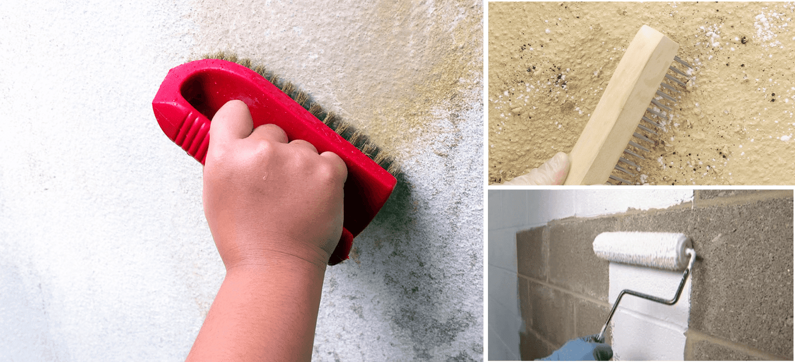 Vista ganancia Lubricar Como pintar paredes nuevas, de cemento y ya pintadas anteriormente ¿Cuantas  capas hacer?: Construya Fácil - Todo Sobre la Construcción
