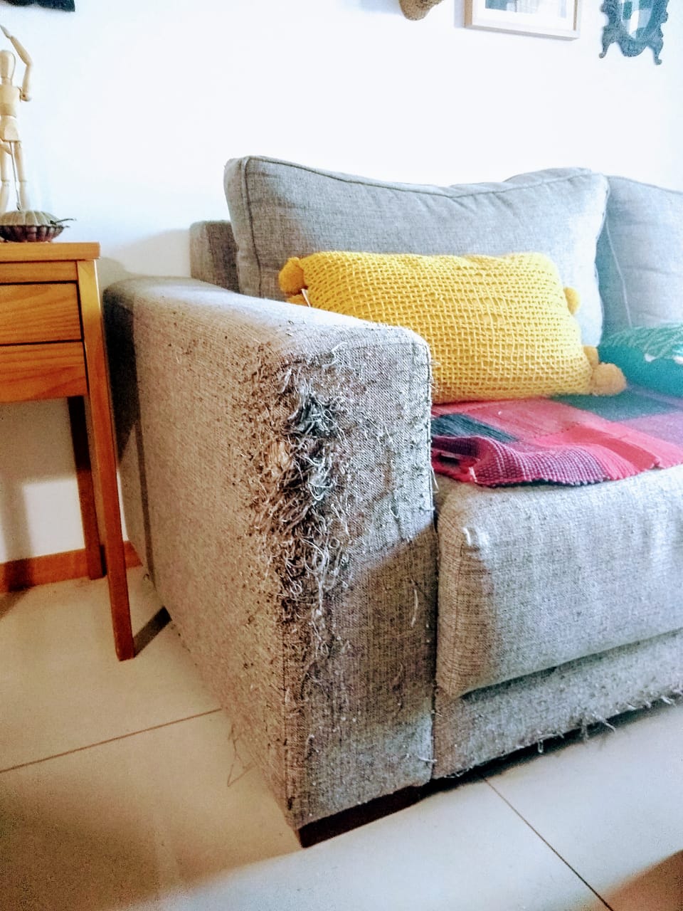 blog de decoração - Arquitrecos: Arranhador para salvar o seu sofá dos  gatinhos.