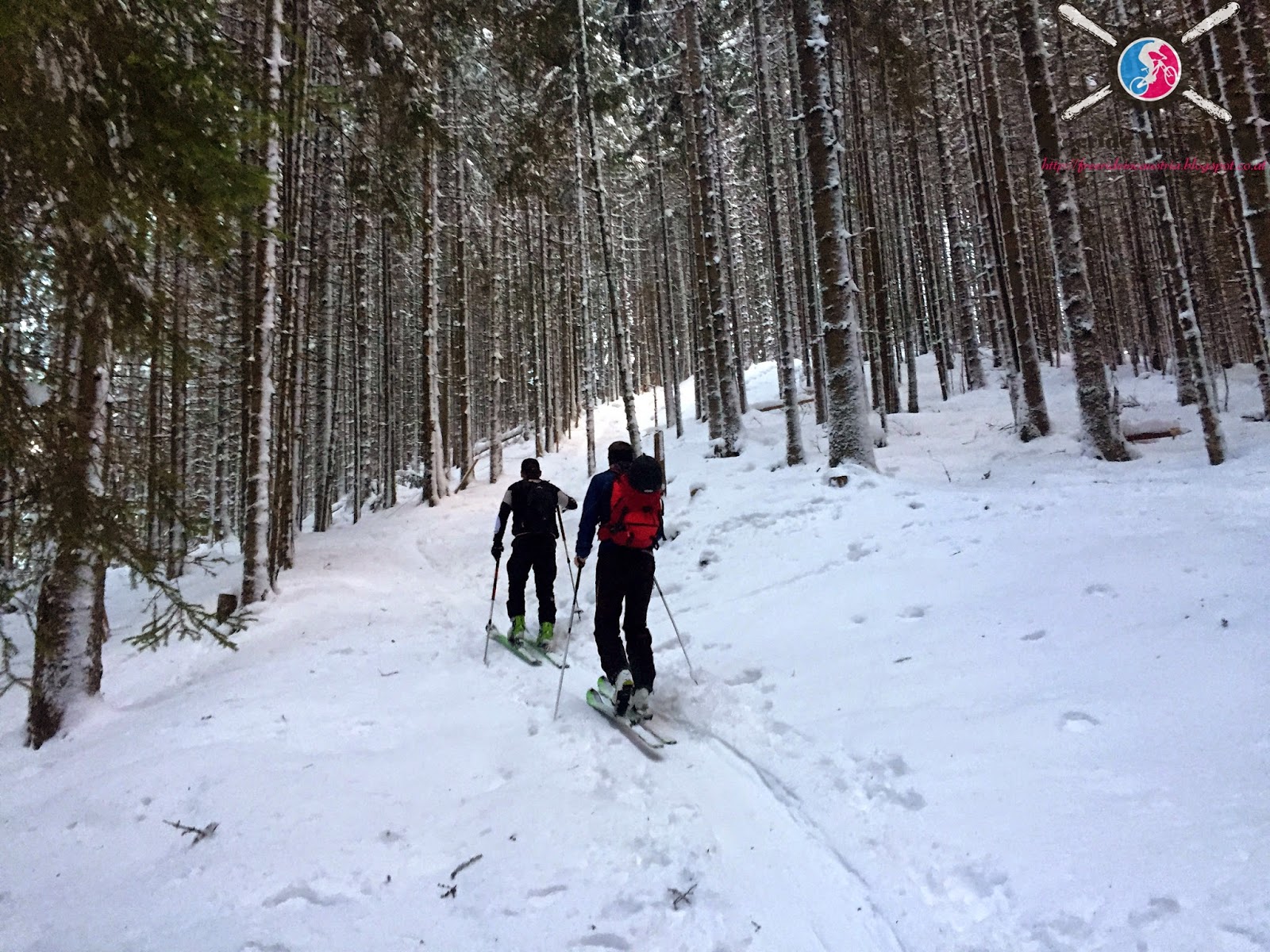 Feierabendskitour Kirchberg in Tirol