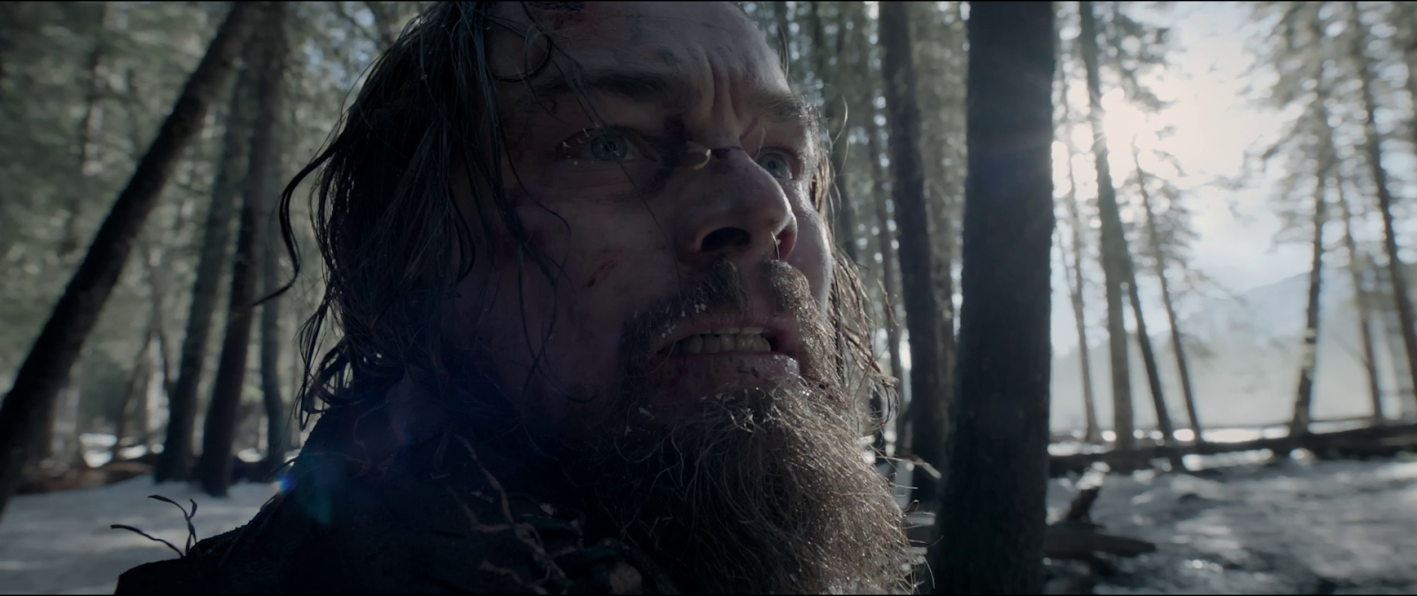 Revenant El Renacido (2015) HD 1080p Latino 