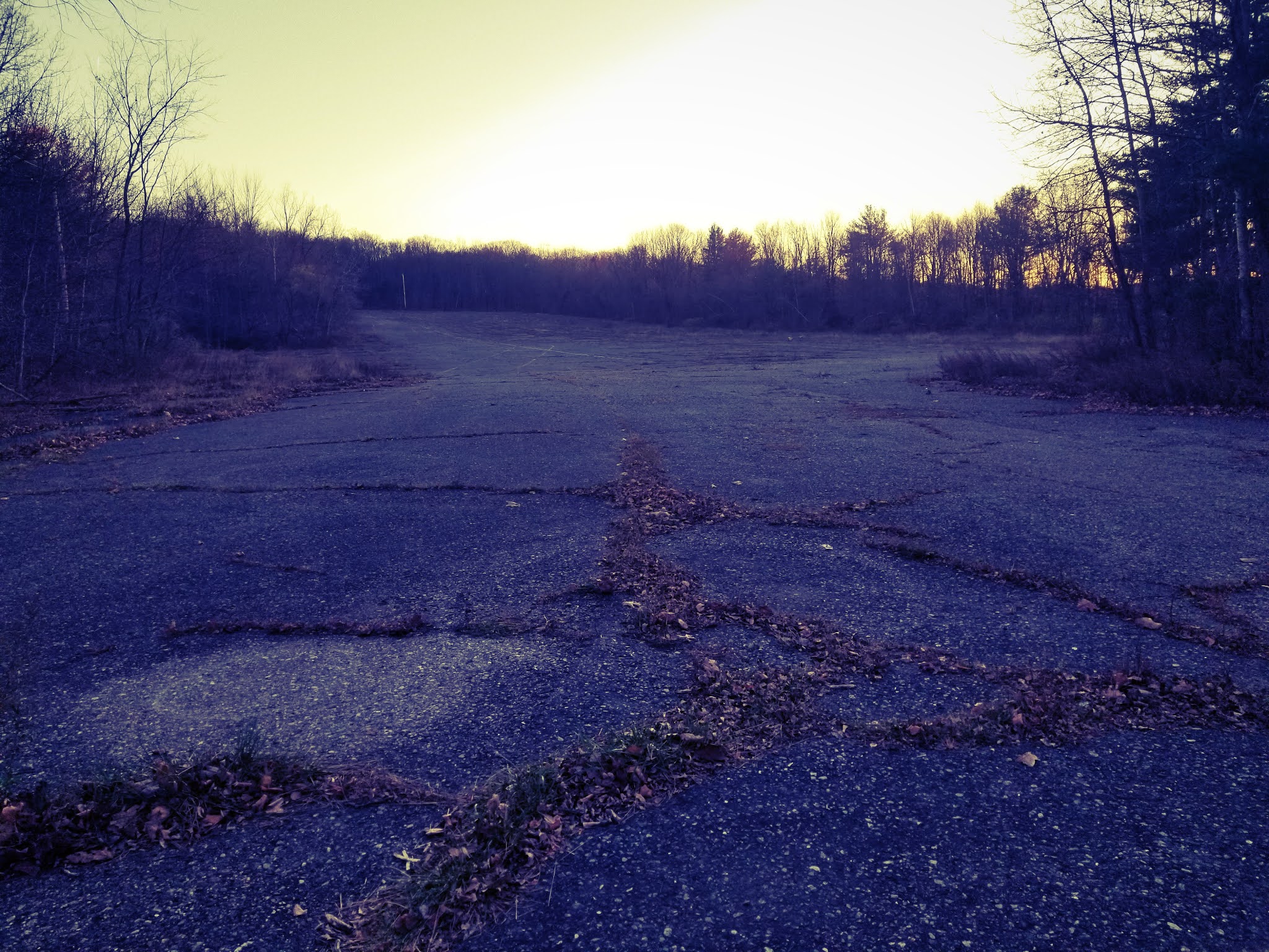 Abandoned, Roadside and Historic Jungle Habitat (Abandoned) West Milford, NJ
