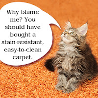 http://dallastx-carpetcleaning.com/dallas-tx-pet-stain-cleaning.html