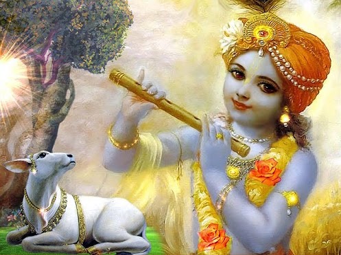 Image result for krishna with cows
