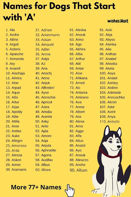 Names for Dogs That Start with A