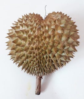 Tips Pilih Buah Durian yang Elok dan Matang
