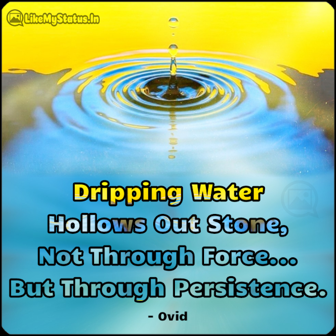Dripping Water Hollows Out Stone... English Quote...