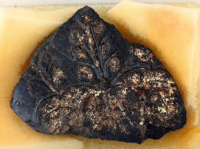 Remains Of Destroyed Toyotomi Hideyoshi Castle In Kyoto Uncovered The Archaeology News Network