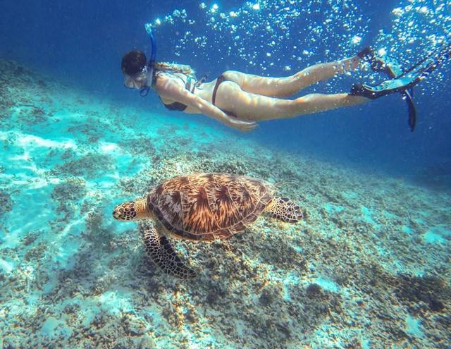 "Gili Trawangan" The Underwater Paradise North Lombok