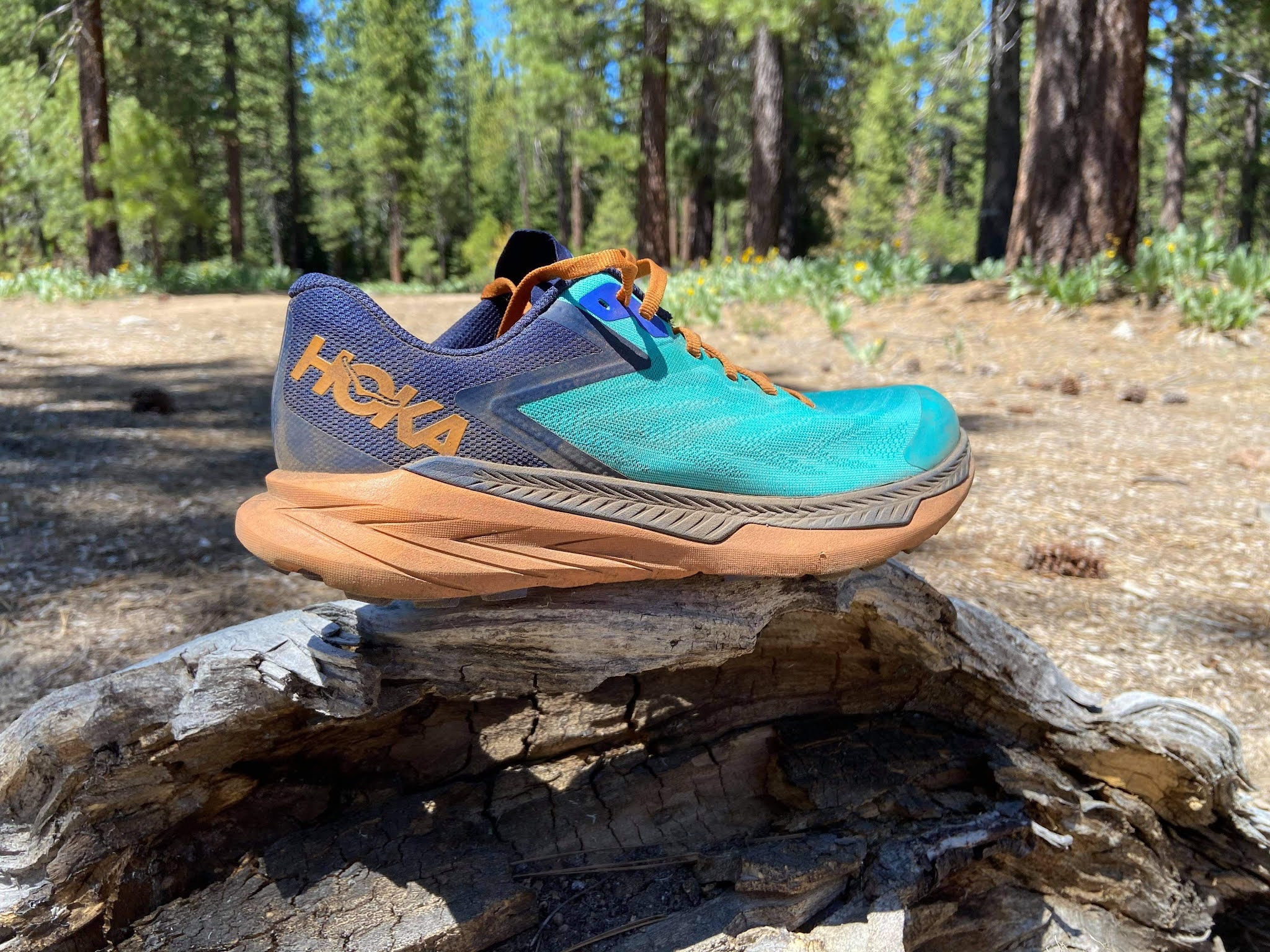 Hoka One One Zinal Trail Shoe Review (2021) - DOCTORS OF RUNNING