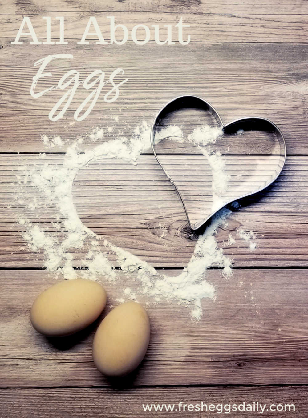 All about Eggs | Separating Fact from Fiction - Fresh Eggs Daily® with