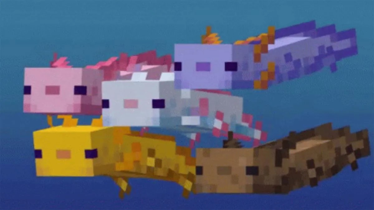 How to create axolotls in any seed in Minecraft
