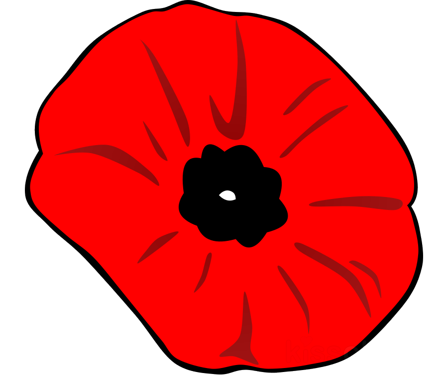 Christmas Decorations Do Not Disrespect Our Vets