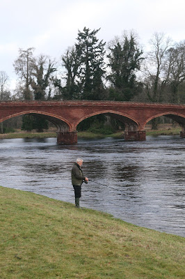 SGA latest news photo