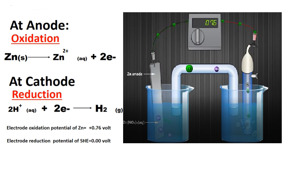 SULEKHA Class XII Chemistry STANDARD HYDROGEN ELECTRODE