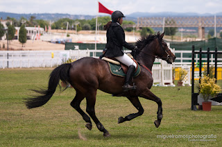 hipismo abrantes