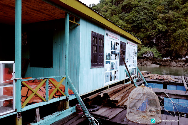 Woow 2D/1N Maya Cruise Tour: Here are Stunning Photos of Day two - Lan Ha Bay Luxury Cruise com Singapore Travel Blog Philippines Photo Woow 2D/1N Maya Cruise Tour: Here are Stunning Photos of Day two - Lan Ha Bay Luxury Cruise