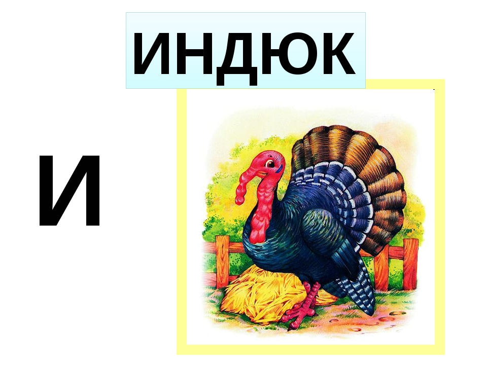 Звуковая схема слова индюк