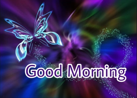 Good Morning Butterfly Good Morning Butterfly