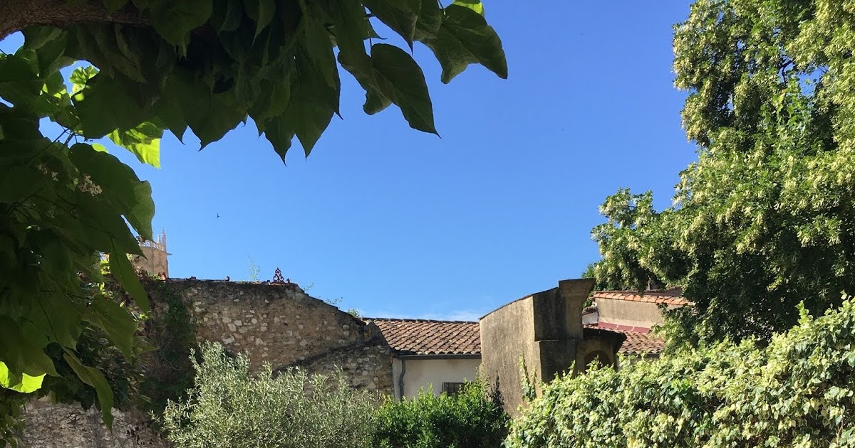 Celestine ☆ Prends garde à la douceur des choses