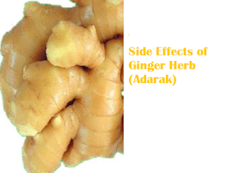 Side Effects of Ginger Herb (Adarak)