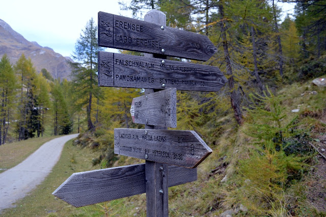 malga lazinser alm plan val passiria sentiero panoramico