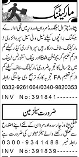New Jobs in Marketing Company in Peshawar KPK, Pakistan 2021