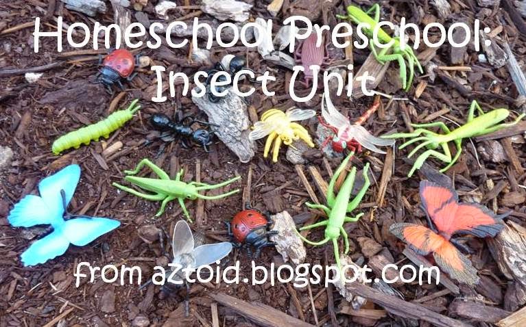 Life with a toddler: Preschool- Insects