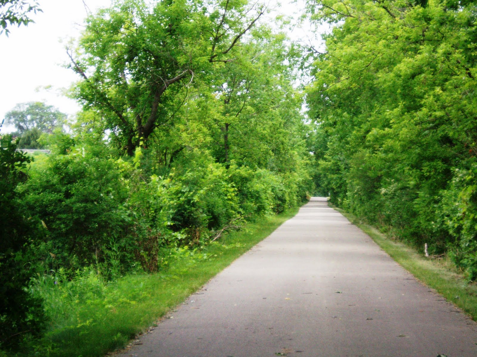 History and Culture by Bicycle The White Pine Trail