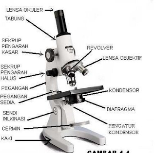 14 Bagian – Bagian Mikroskop dan Fungsinya