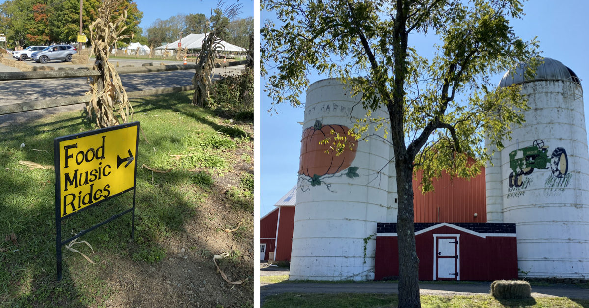 10 Fun Fall Activities to Try at Ort Farms New Jersey Fall Fun for