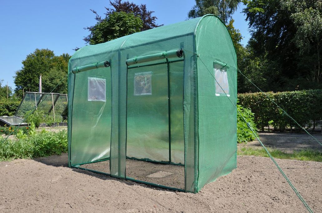 Tomatengewächshaus Toom