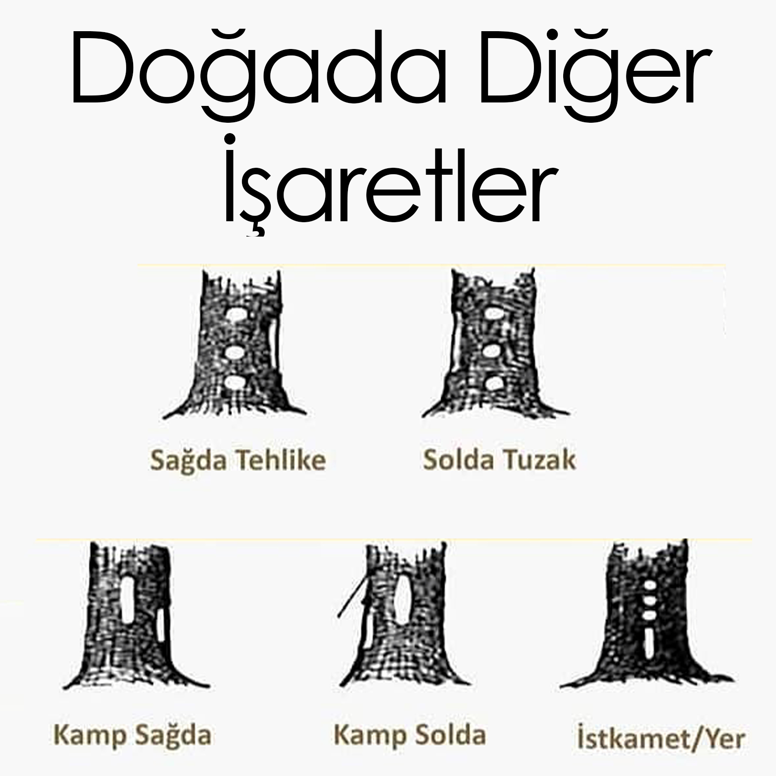 Doğada Başka Diğer İşaretler