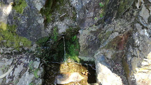 Nascentes de água Nascentes de água