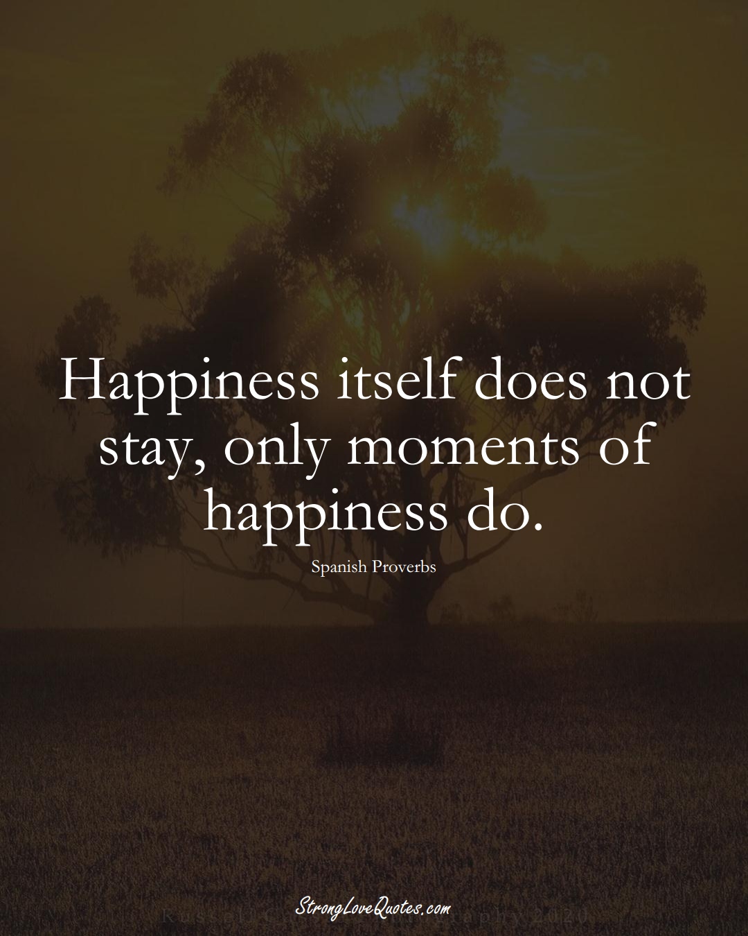 Happiness itself does not stay, only moments of happiness do. (Spanish Sayings);  #EuropeanSayings
