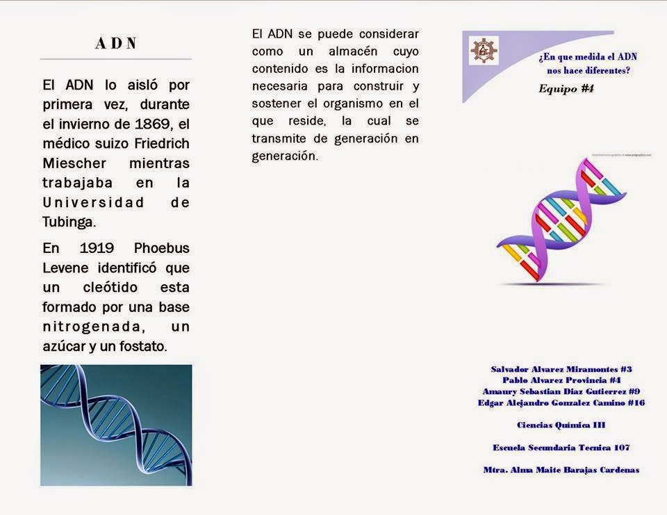 Equipo numero 4 junio 2014