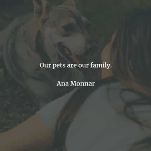 animal love quotes