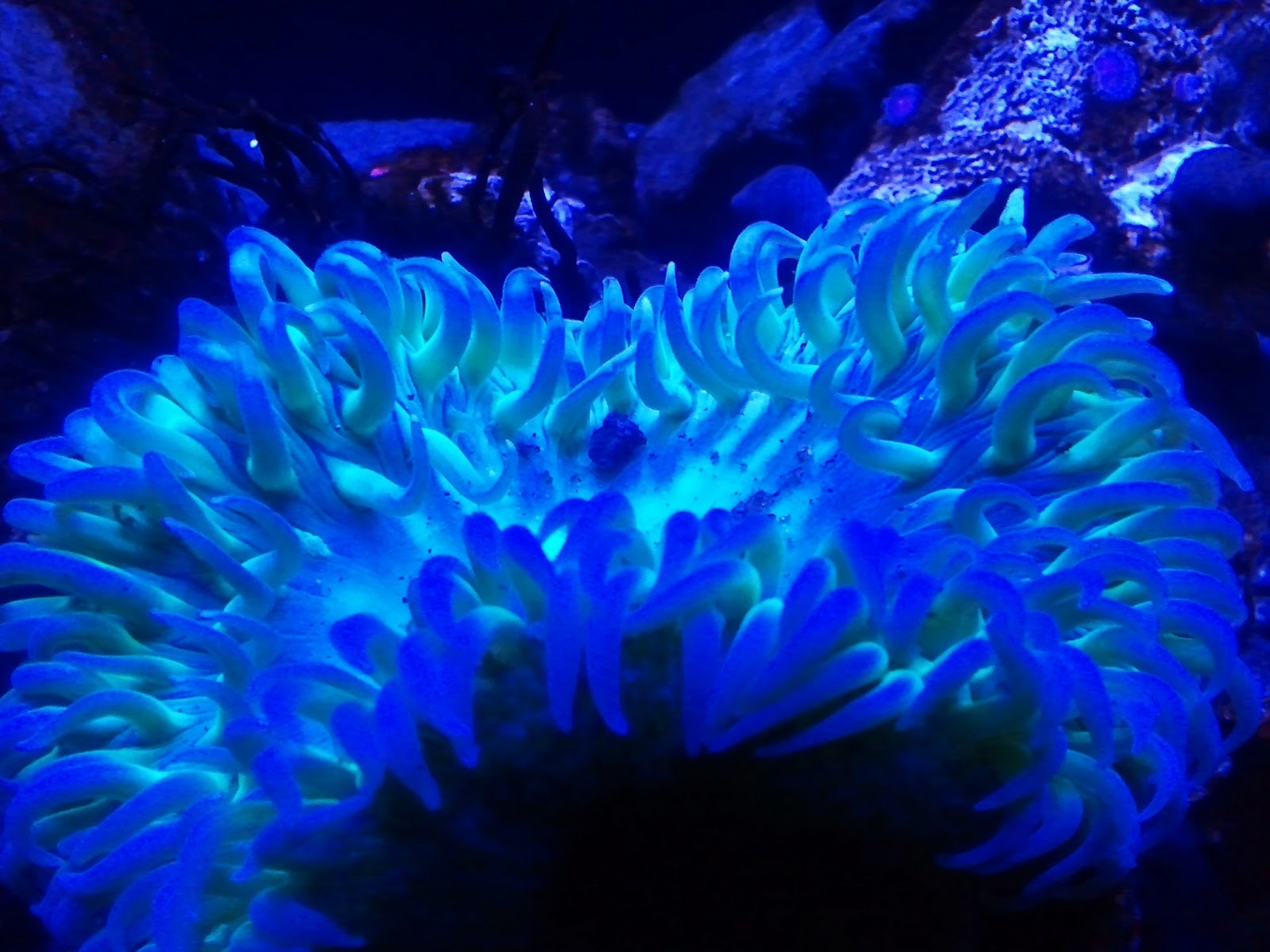 PORTLAND PHOTOGRAPHY AND FASHION Portland Aquarium in Milwaukee. 1st trip.
