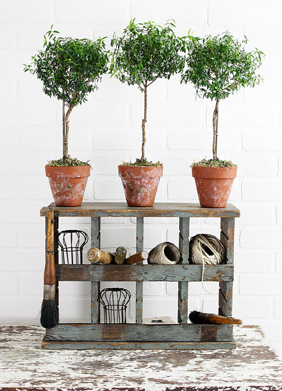 My Sweet Savannah farmhouse finds on etsy