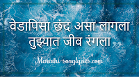 Tujhyat Jiv Rangala Title Song Lyrics in Marathi