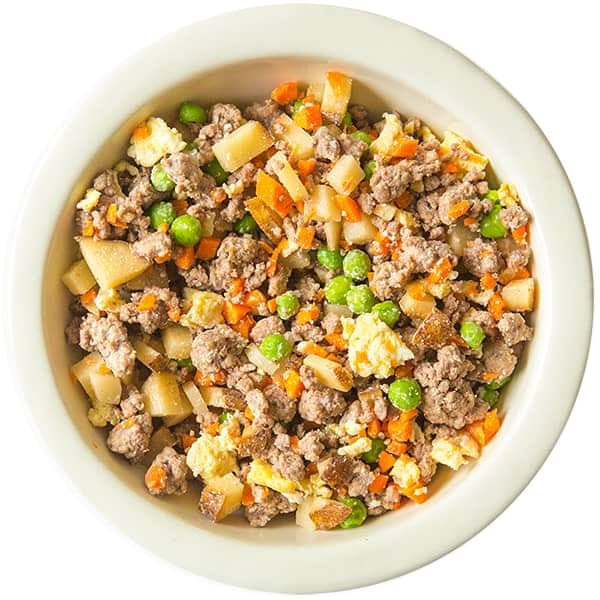 6 Cara Mencegah Bau Badan Anjing Dan Kucing