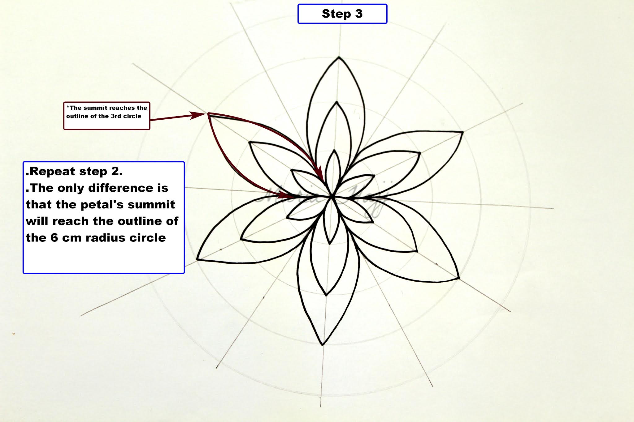 Mandala to draw/ Simple Mandala #1