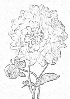 flower coloring pages holiday.filminspector.com