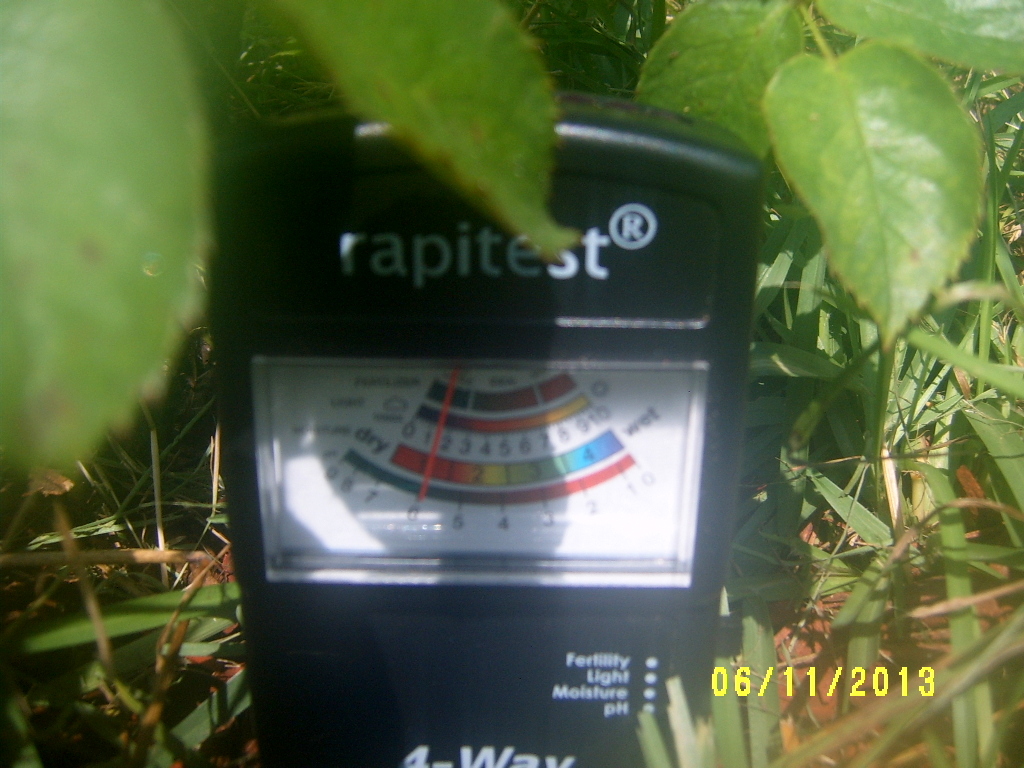 Alabama Rose and Flower Garden from a NonGreen Thumb Why Do Roses