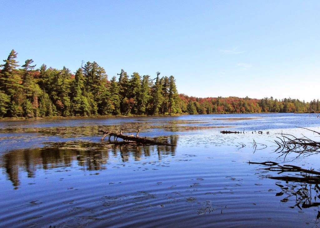 Windswept Adventure Floodwood Loop Trail, From Middle Pond To