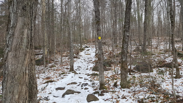 Sentier en direction de la montagne du Carcan